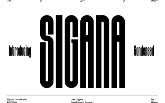Sigana-Display-Sans-Font.jpg