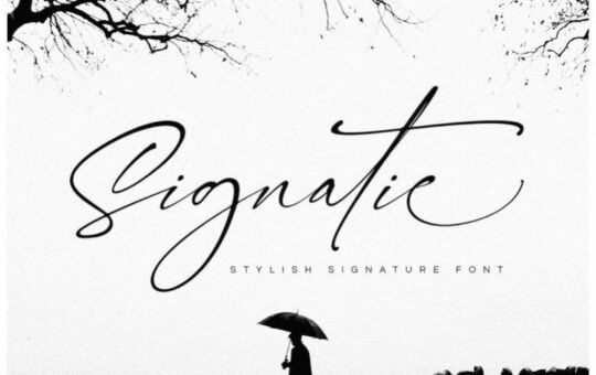 Signatie-Signature-Font.jpg