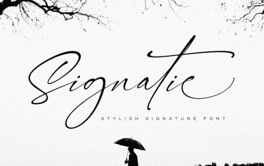 Signatie-Stylish-Signature-Font-1.jpg