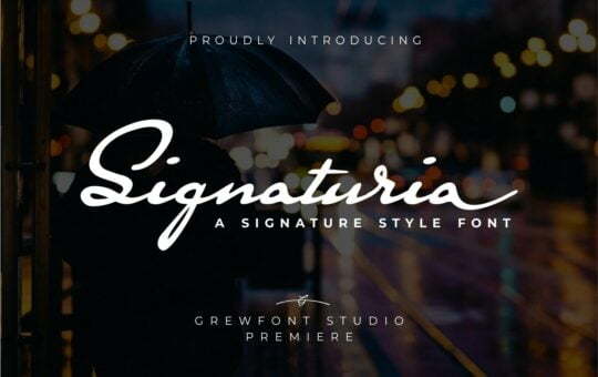 Signaturia-Signatur-Script-Font-1.jpg