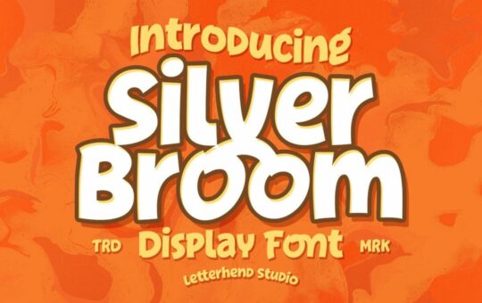 Silver-Broom-Display-Font-1.jpg