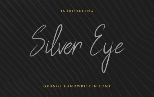 Silver-Eye-Grunge-Handwritten-Font-1.jpg