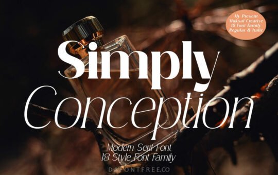 Simply-Conception-Serif-Font-Family.jpg