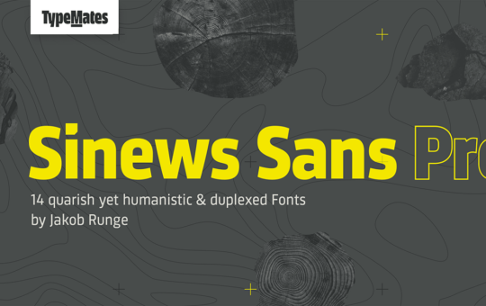 Sinews-Sans-Pro-Font-Family-1.png