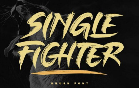 Single-Fighter-Brush-Font.jpg
