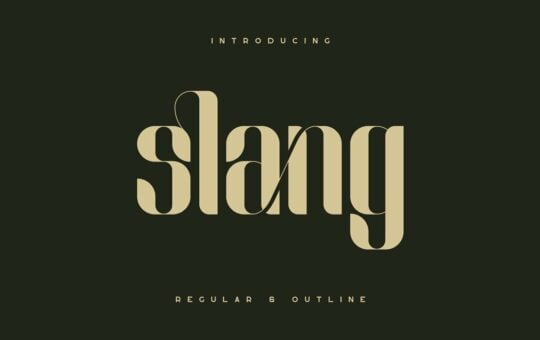 Slang-Ligature-Font-1.jpg