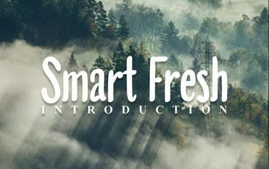 Smart-Fresh-Font-1.jpg