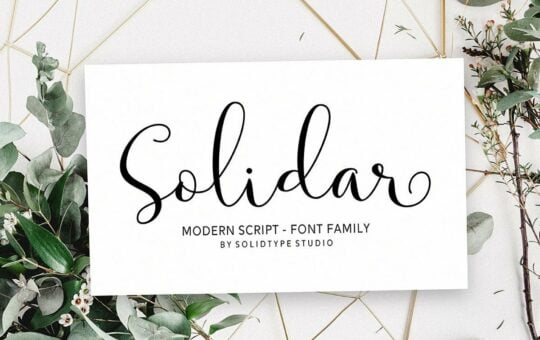Solidar-Modern-Calligraphy-Script-Font.jpg