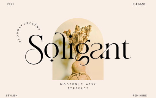 Soligant-Classy-Serif-Font-1.jpg