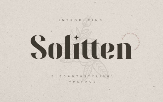 Solitten-Elegant-Stylish-Typeface-1.jpg