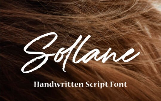 Sollane-Brush-Script-Font-1.jpg