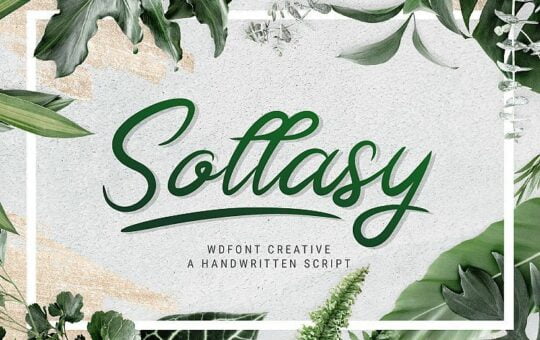 Sollasy-Calligraphy-Font.jpg