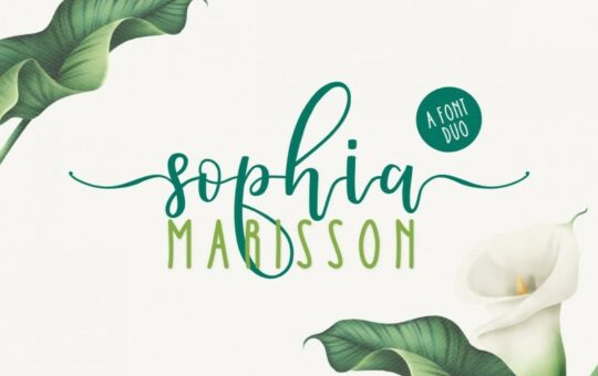 Sophia-Marisson-Script-Font-1.jpg