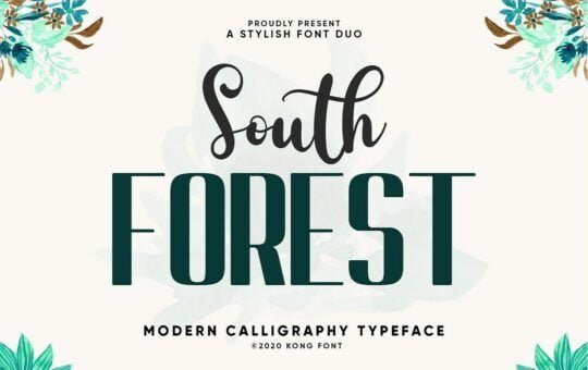 South-Forest-Sans-Script-Font-Duo-1.jpg