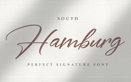 South-Hamburg-Handwritten-Script-Font-1.jpg