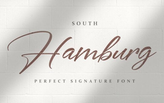 South-Hamburg-Handwritten-Signature-Script-Font.jpg
