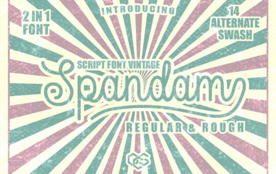 Spandam-Vintage-Font-1.jpg