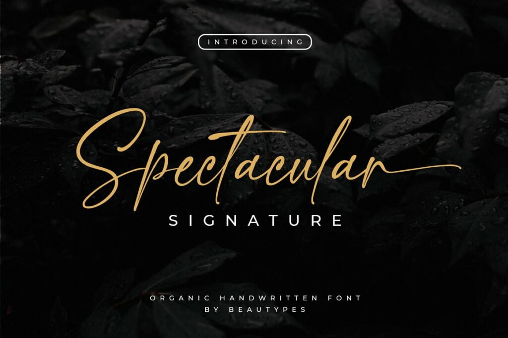 Spectacular-Font.jpg