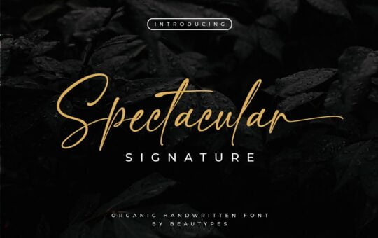 Spectacular-Handwritten-Font-1.jpg