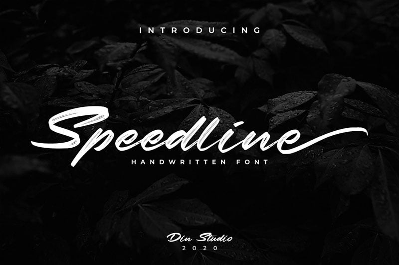 Speedline-Classy-Brush-Script-Font-1.jpg