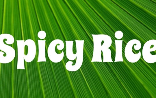 Spicy-Rice-Font-Free.jpg