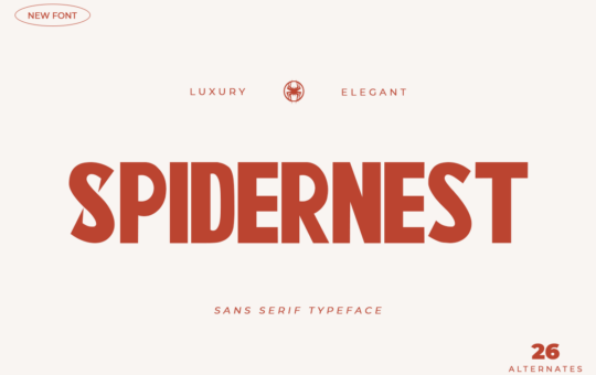 Spidernest-Font.png