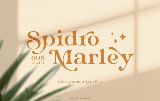 Spidro-Marley-Serif-Font-1.jpg