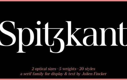 Spitzkant-Serif-Font-1-1.jpg