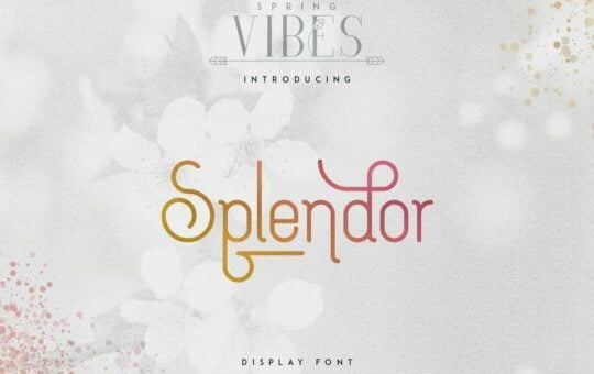 Splendor-Display-Font.jpg