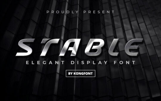 Stable-Elegant-Display-Font-1.jpg