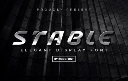 Stable-Elegant-Display-Font.jpg