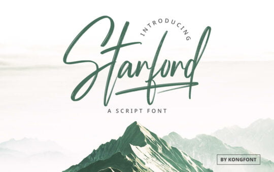 Starford-Brush-Script-Font-1.jpg
