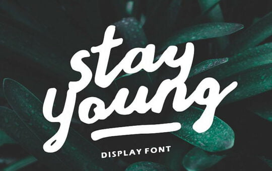 Stay-Young-Script-Font-1.jpg