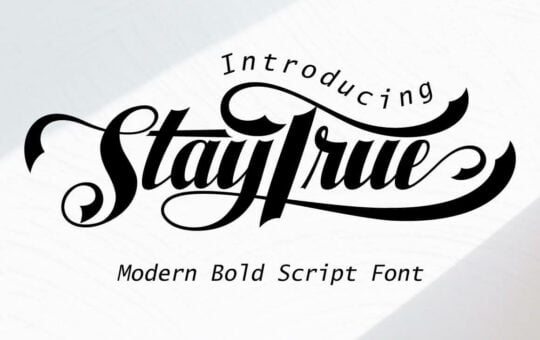 Staytrue-Calligraphy-Font-1.jpg