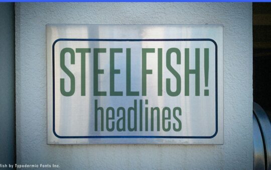 Steelfish-Sans-serif-Font-1.jpg