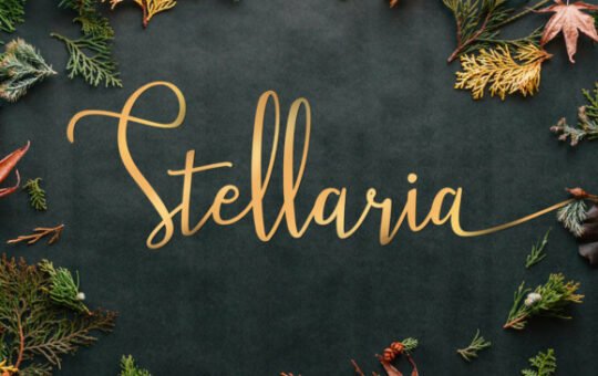 Stellaria-Handwritten-Font.jpg