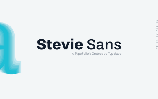 Stevie-Sans-Font.png