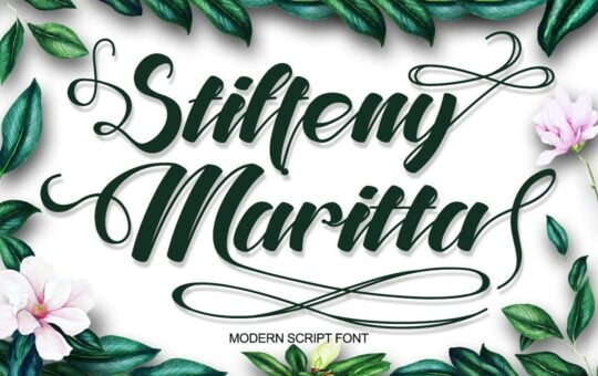Stiffeny-Maritta-Calligraphy-Script-Font-1.jpg