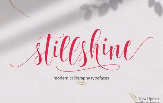 Still-Shine-Calligraphy-Font-1.jpg