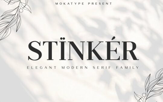 Stinker-Font-Family.jpg