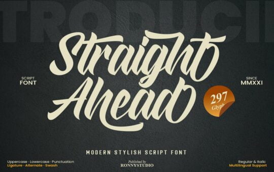 Straight-Ahead-Modern-Script-Font-1.jpg