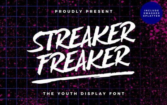Streaker-Freaker-Font-1.jpg