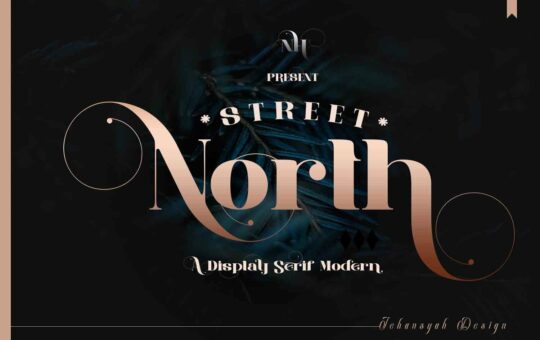 Street-North-Serif-Font-1.jpg