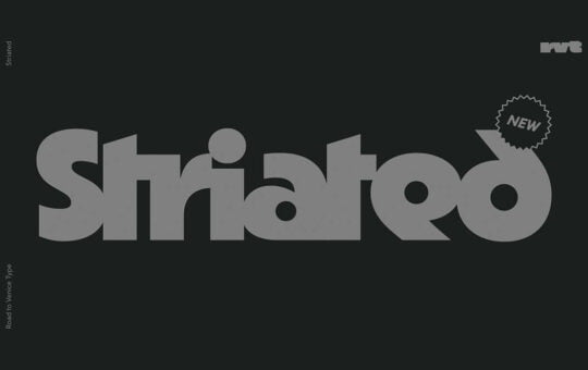 Striated-Sans-Serif-Font-1.jpg