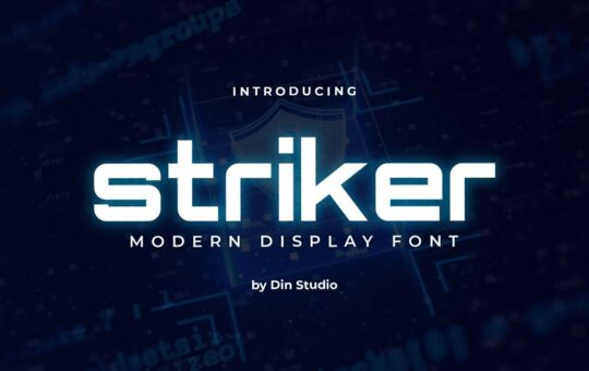Striker-Modern-Sans-Display-Font.jpg