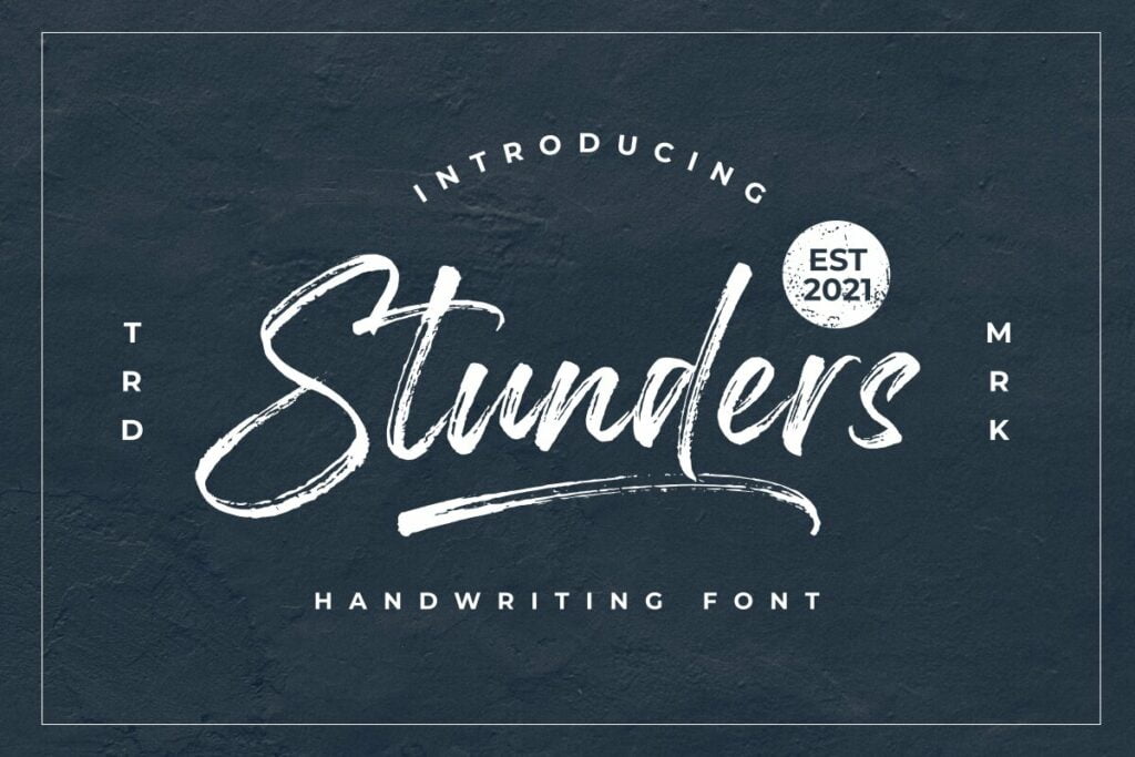 Stunders-Brush-Script-Font-1.jpg