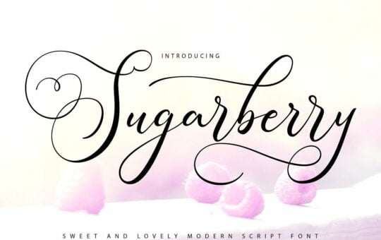 Sugarberry-Font-1.jpg