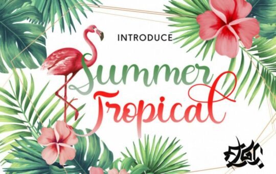 Summer-Tropical-Font.jpg