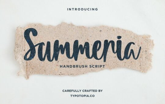 Summeria-Handbrush-Script-Font-1.jpg