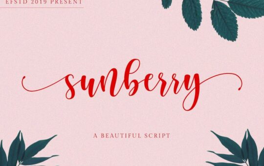 Sunberry-Script-Font-1.jpg